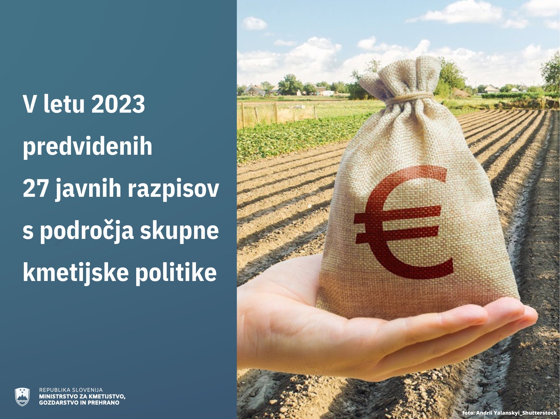 Denar v ozadju kmetijsko polje - simbolna fotografija. Na levi napis V letu 2023 predvidenih 27 javnih razpisov s področja skupne kmetijske politike.