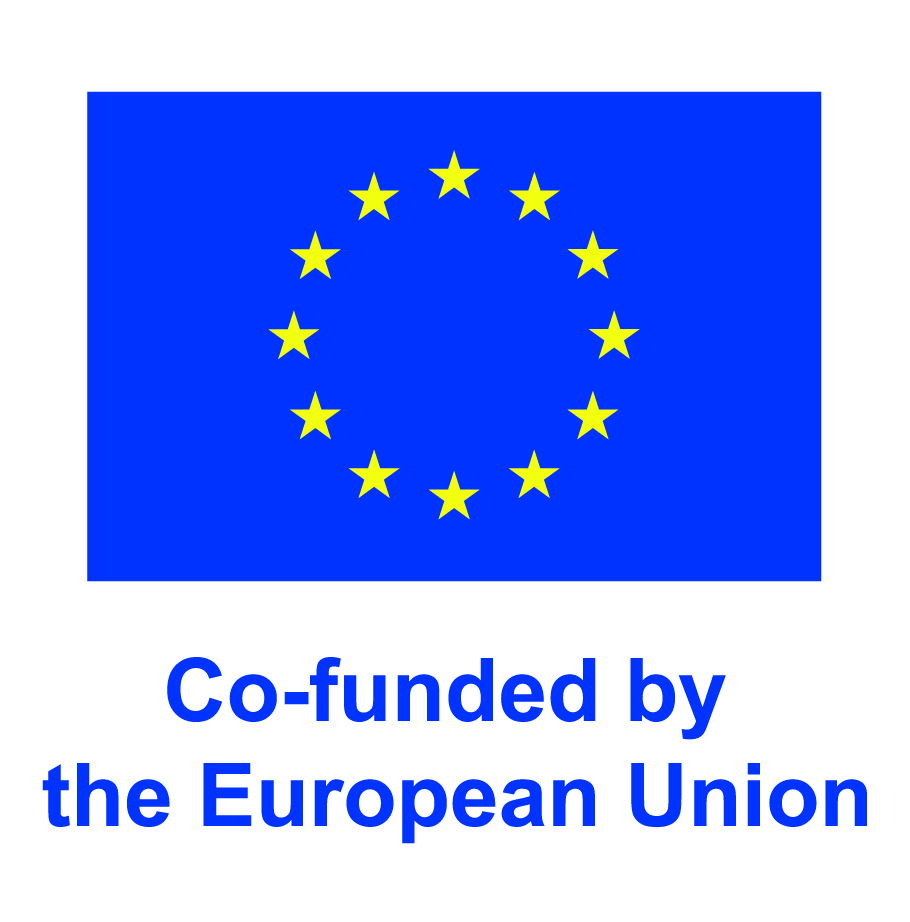 Emblem EU v angleškem jeziku in napis "Co-funded by the European Union" v vertikalni postavitvi