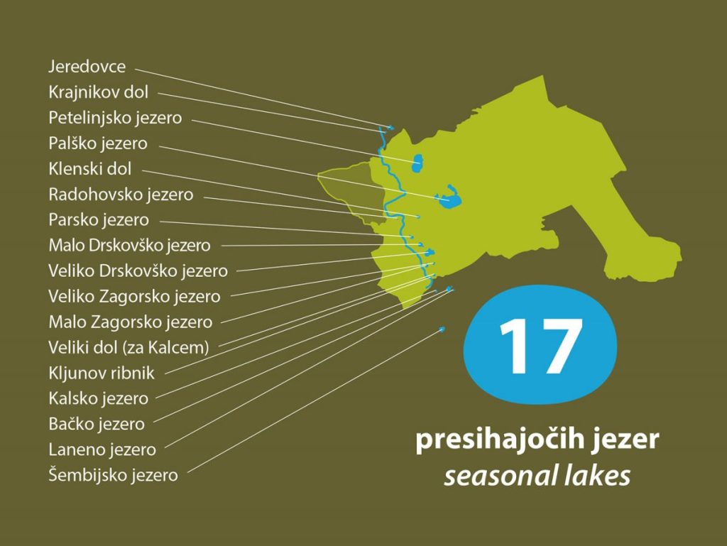 Grafika Pivška jezera