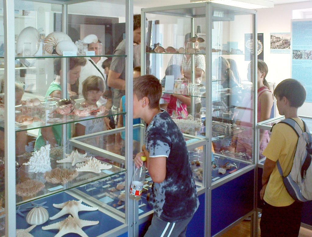 Projekt muzej školjk, otroci v muzeju