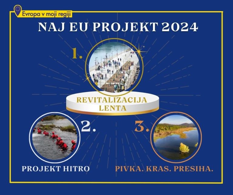 Zmagovalci natečaja za Naj EU projekt 2024