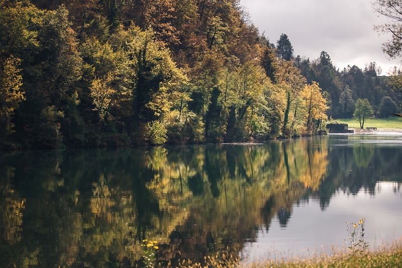 Reka Kolpa, gozd na obrežju v jesenskih barvah