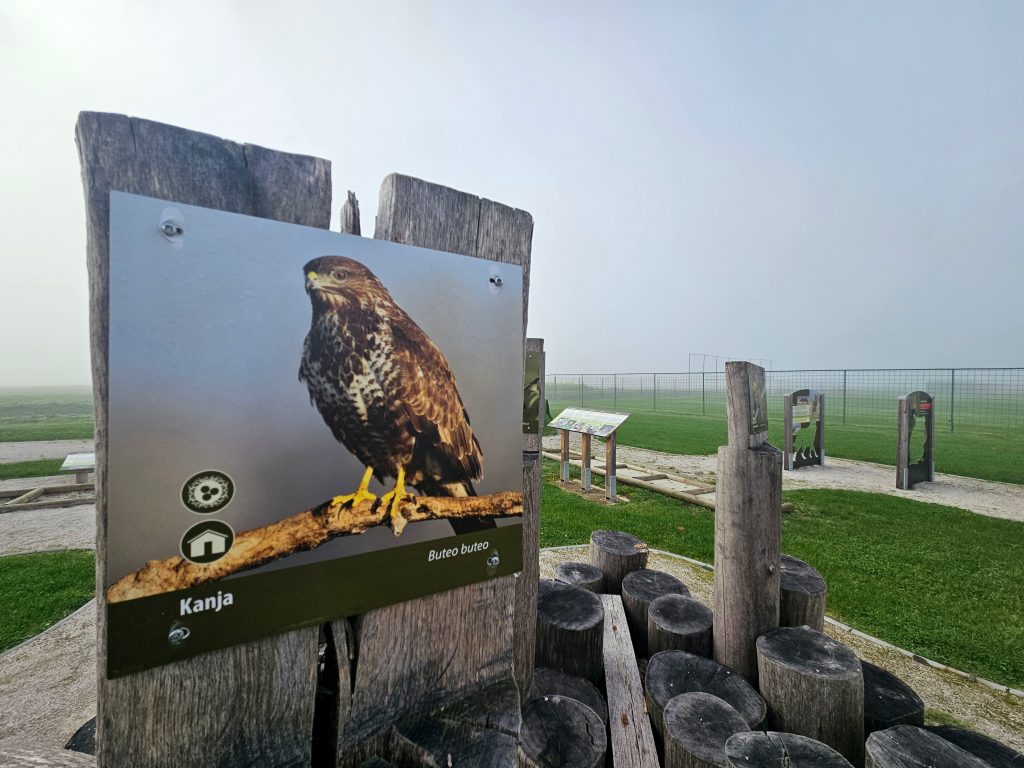 Interpretation trail DRAVA NATURA 2000 Središče ob Dravi