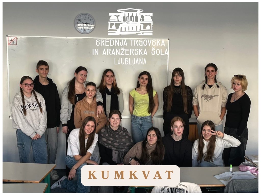 Dijaki Srednje trgovske in aranžerske šole v Ljubljani