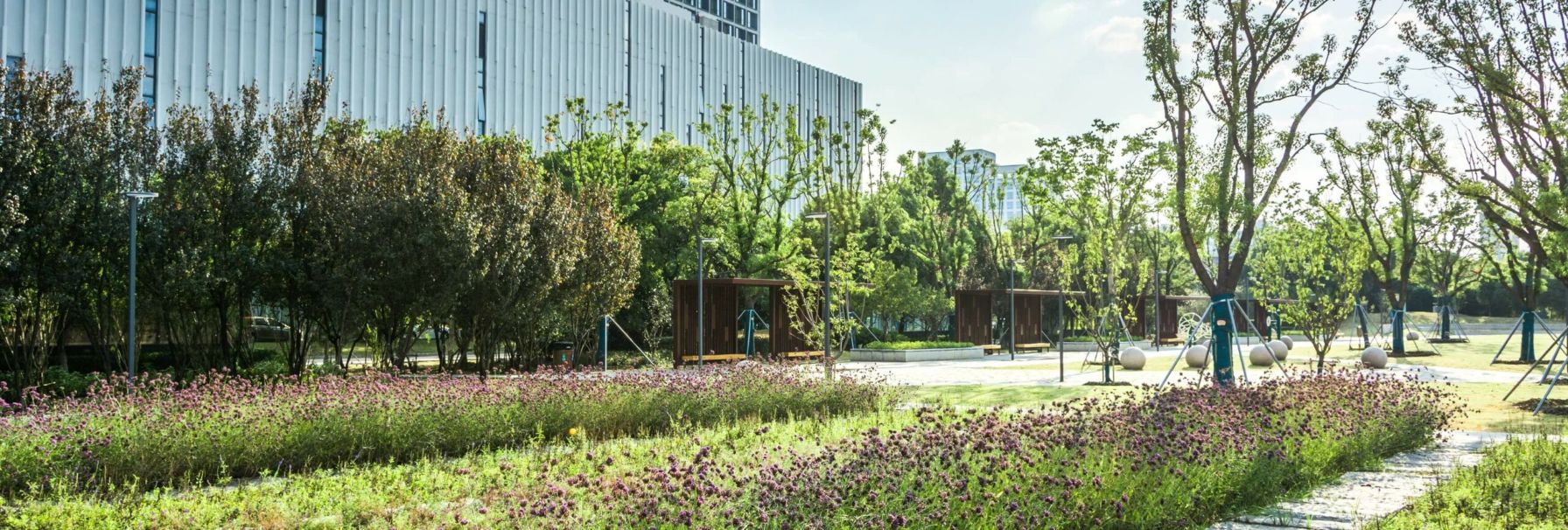 Fotografija stavbe v steklu, pred stavbo drevesa