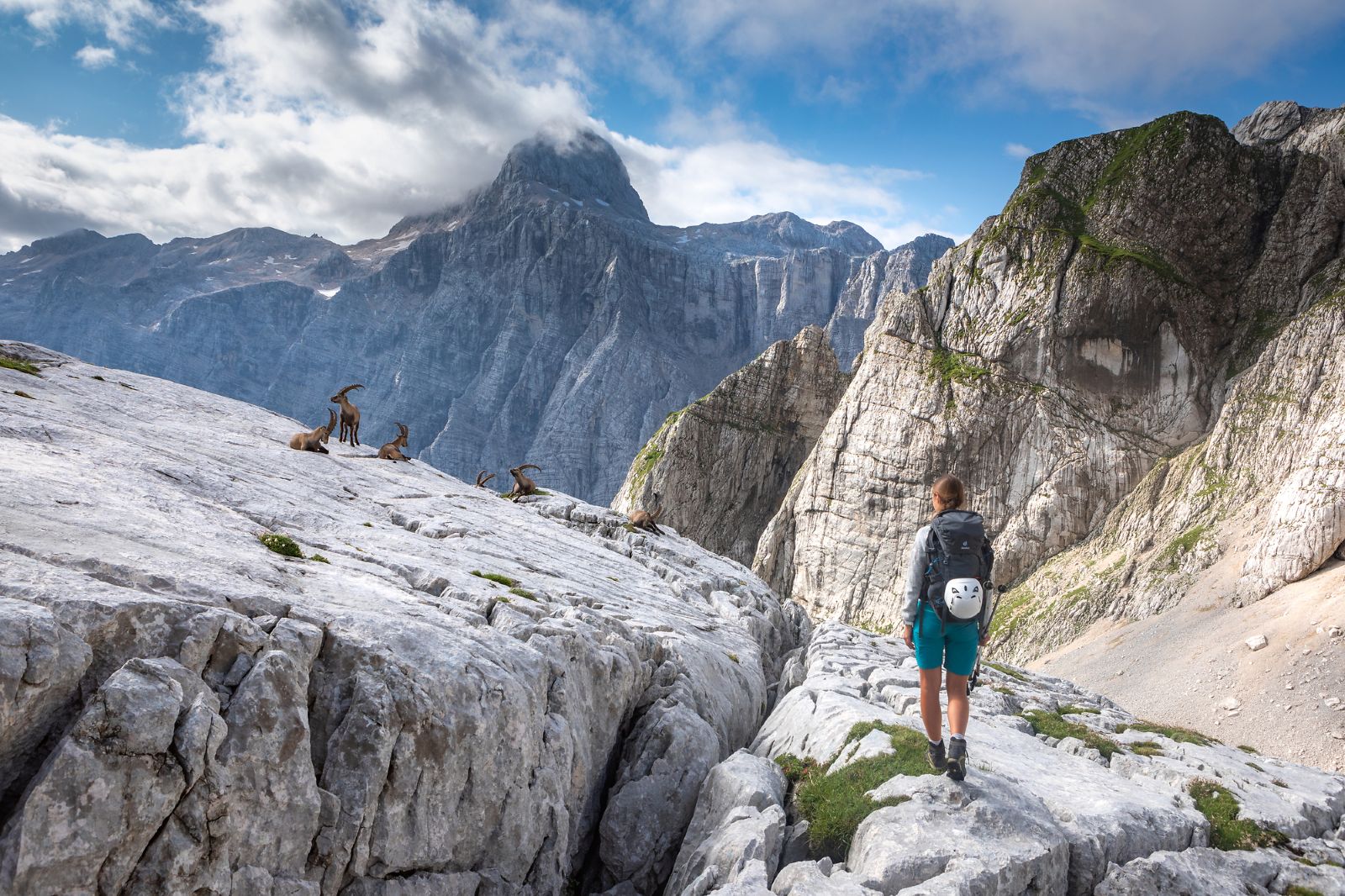 Pogled na Triglav, pohodnik in kozorogi