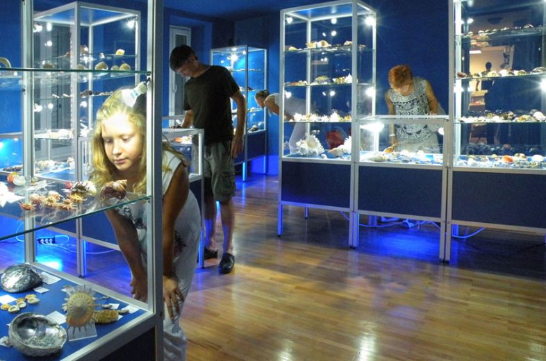 Muzej školjk, Piran