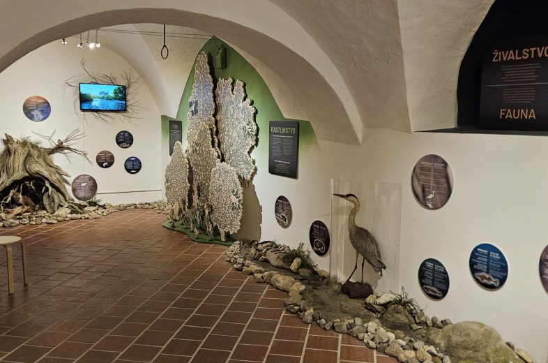 foto_KP - Reka Bistrica (74)